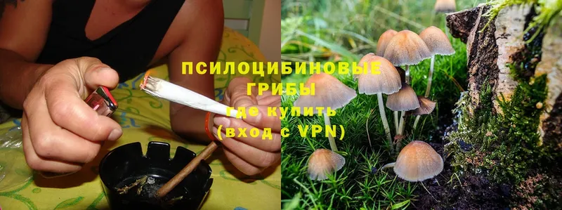 Псилоцибиновые грибы MAGIC MUSHROOMS  Грайворон 